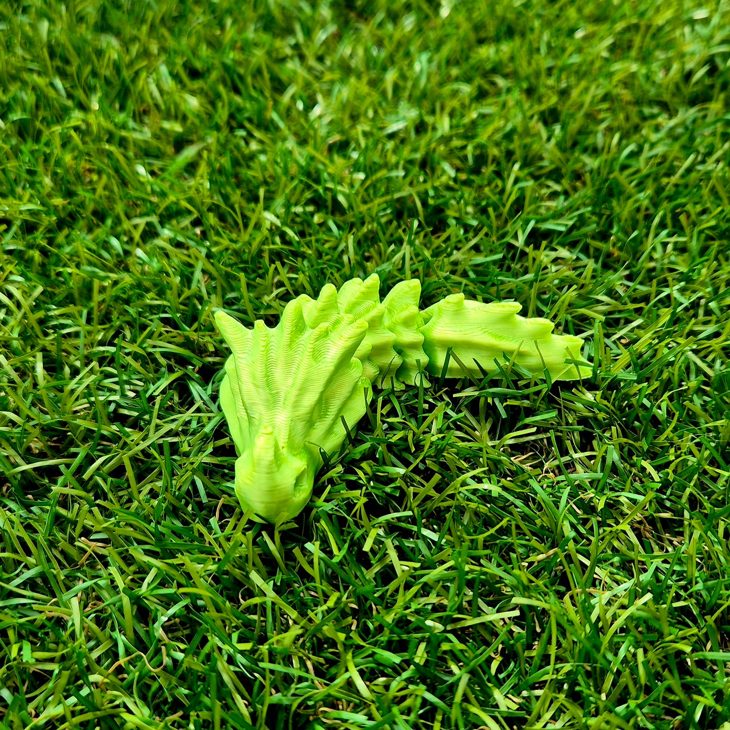 Flexi Dragon